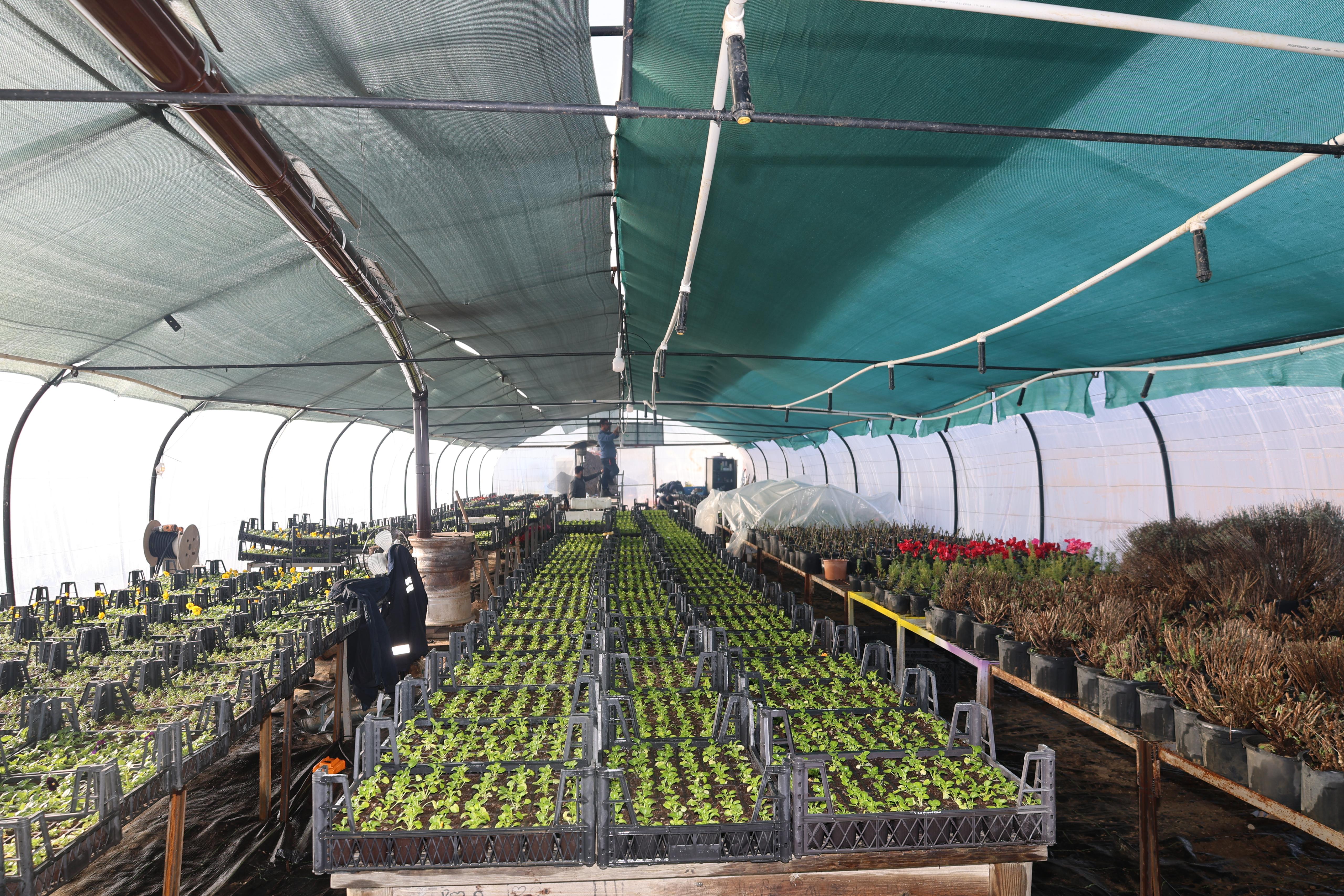 ÇİÇEKLERİMZİ KENDİMİZ YETİŞTİRİYORUZ