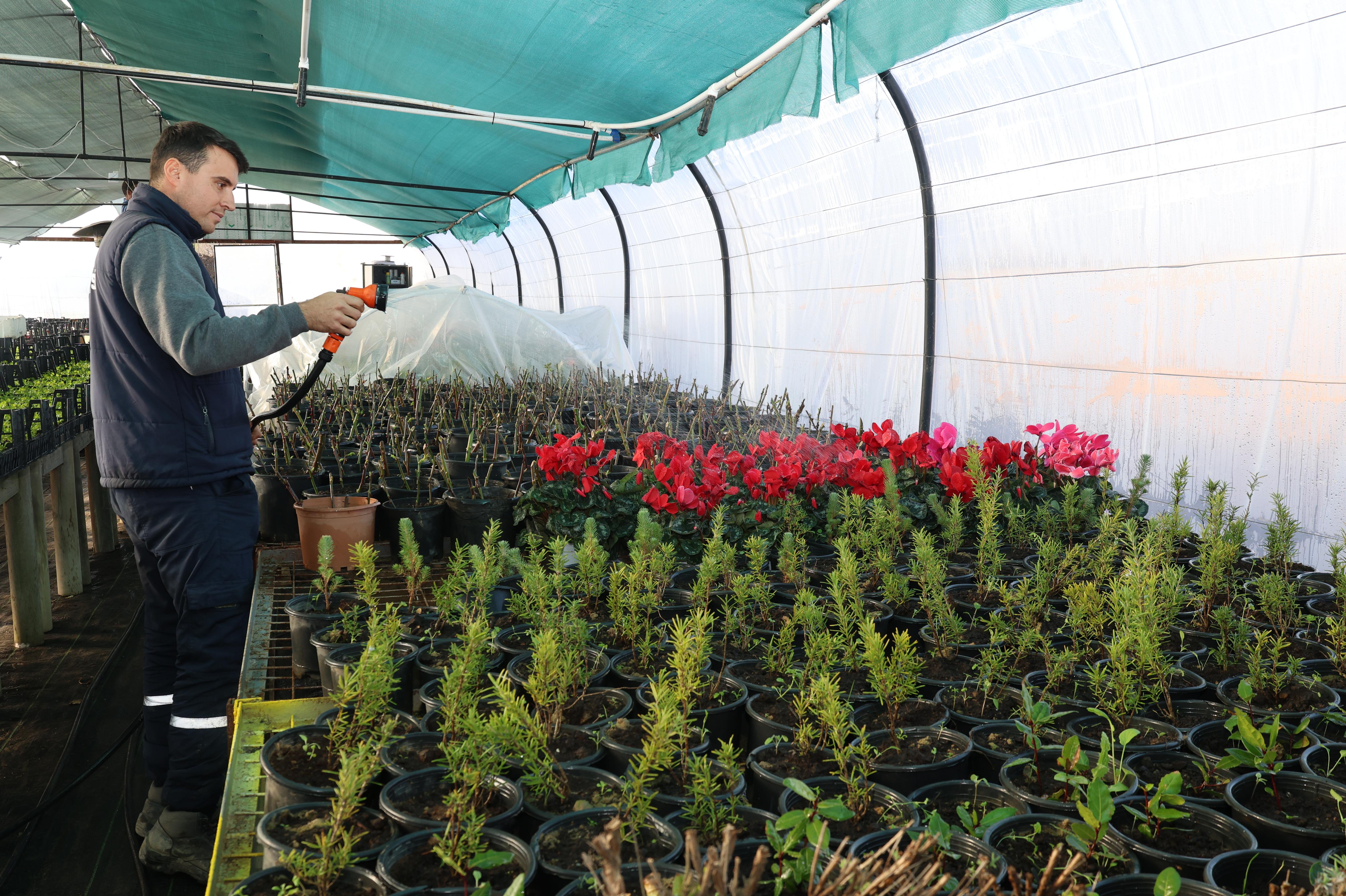 ÇİÇEKLERİMZİ KENDİMİZ YETİŞTİRİYORUZ