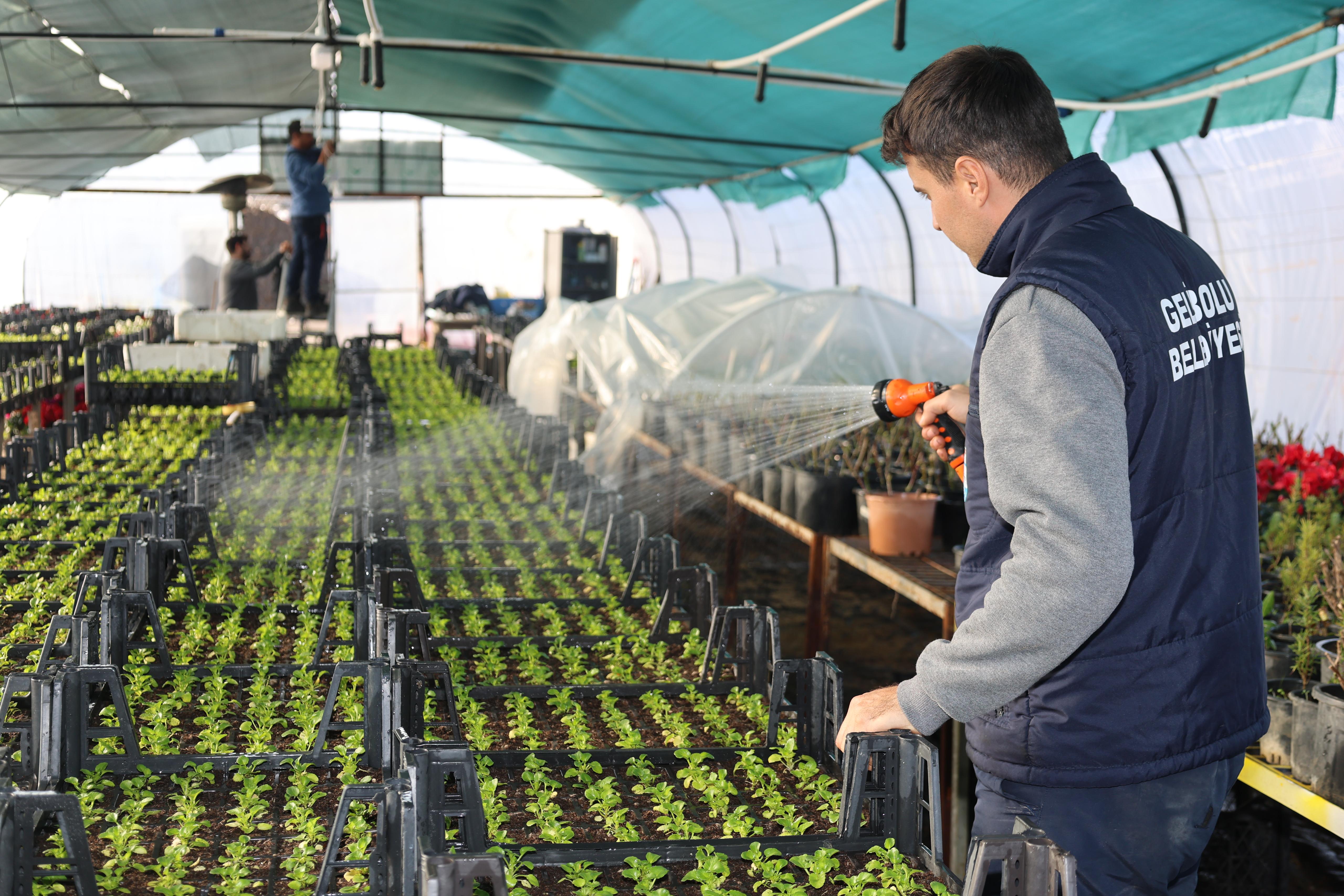 ÇİÇEKLERİMZİ KENDİMİZ YETİŞTİRİYORUZ